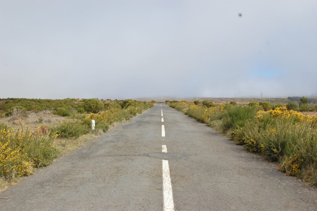 Die Straße zurück nach Funchal auf der Hochebene.